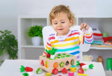 Top Educational Toys to Boost Your Child’s Brain Development